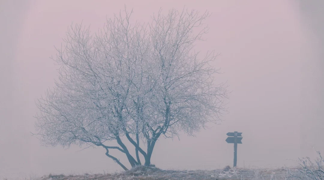 Februar – ein Monat zum Streichen?