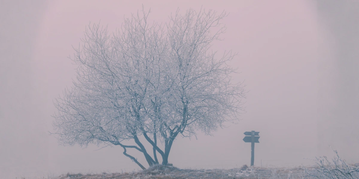 Giulia bringt vegane Ostereili zum Familienbrunch - Foto im Tagebuch