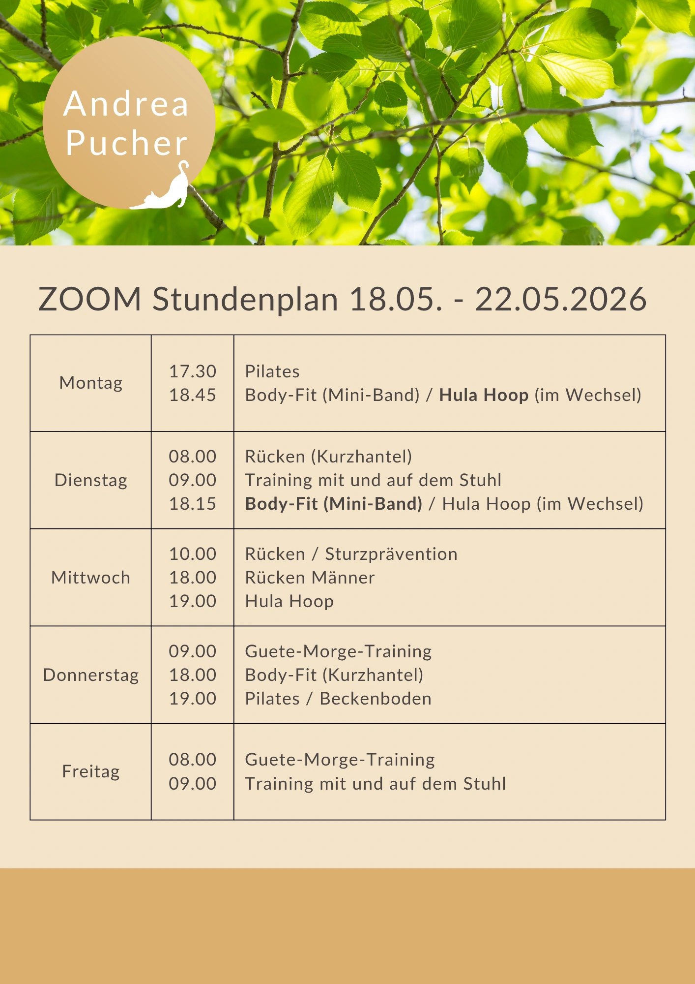 Aktueller Stundenplan für die laufende Woche.