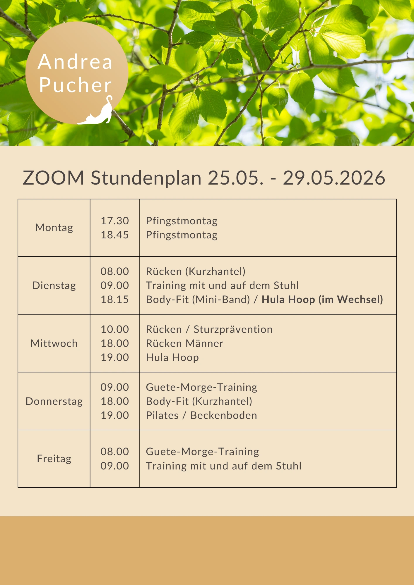 Stundenplan (83) Aktueller Stundenplan für die laufende Woche.